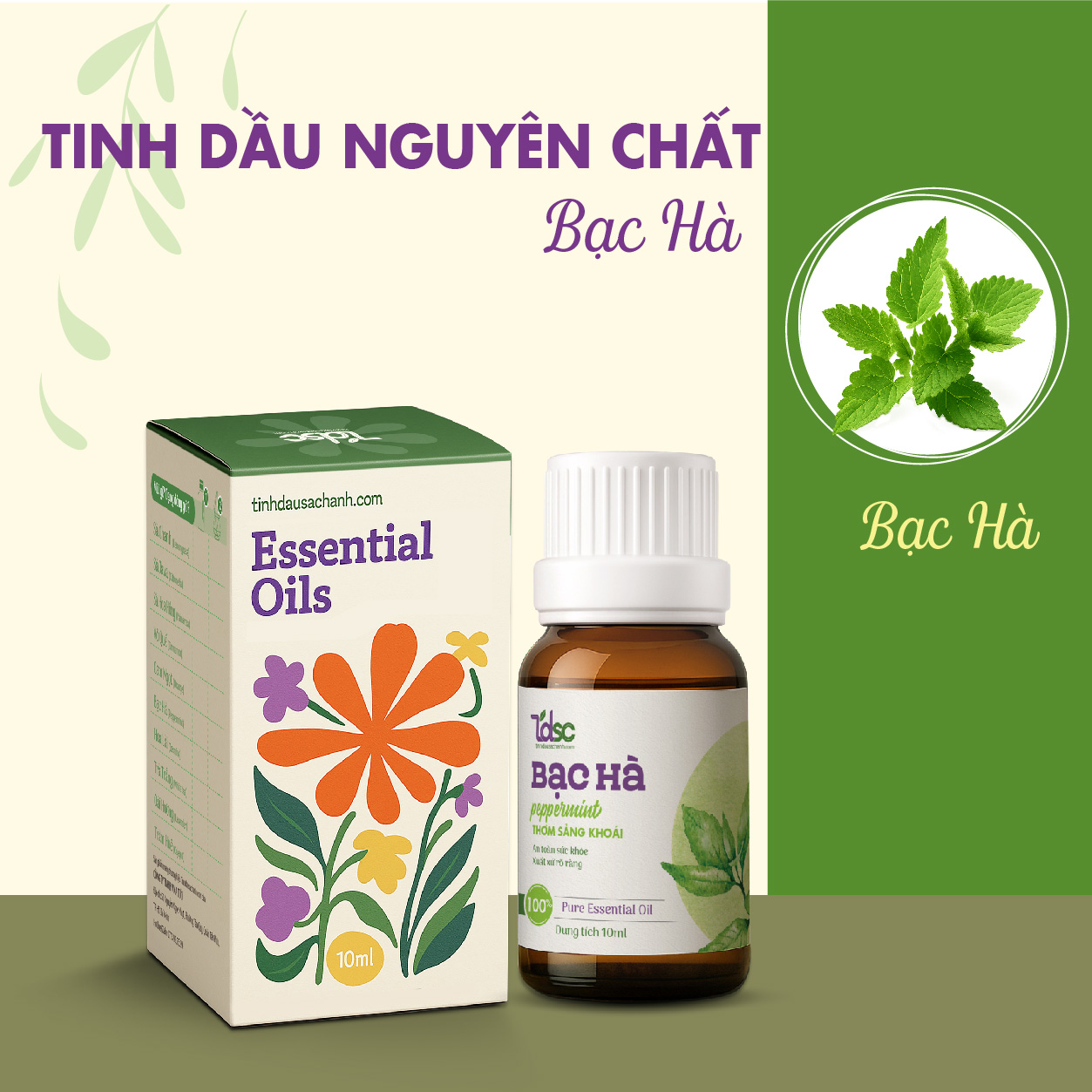 TINH DẦU BẠC HÀ NGUYÊN CHẤT (3)