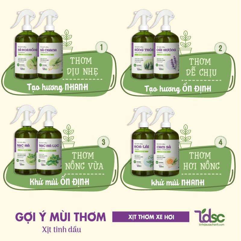 Tại sao nên chọn xịt thơm xe hơi ?