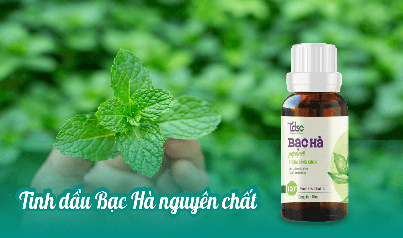 Tinh Dầu Bạc Hà Nguyên Chất