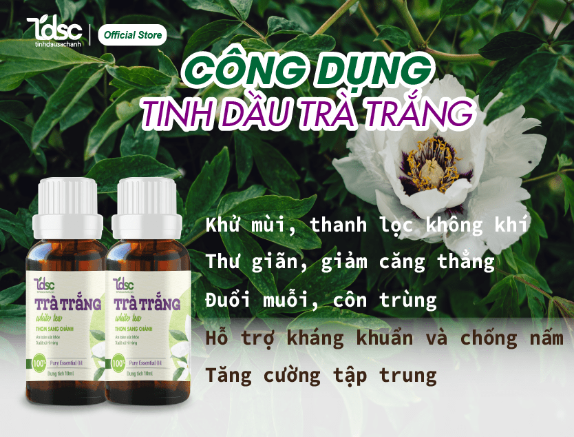 Lợi ích tuyệt vời cho sức khỏe và sắc đẹp