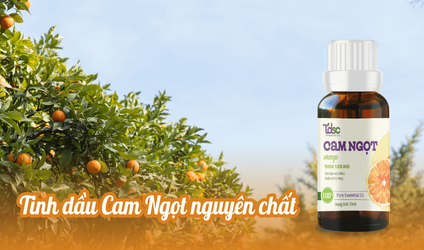 Tinh Dầu Cam Ngọt