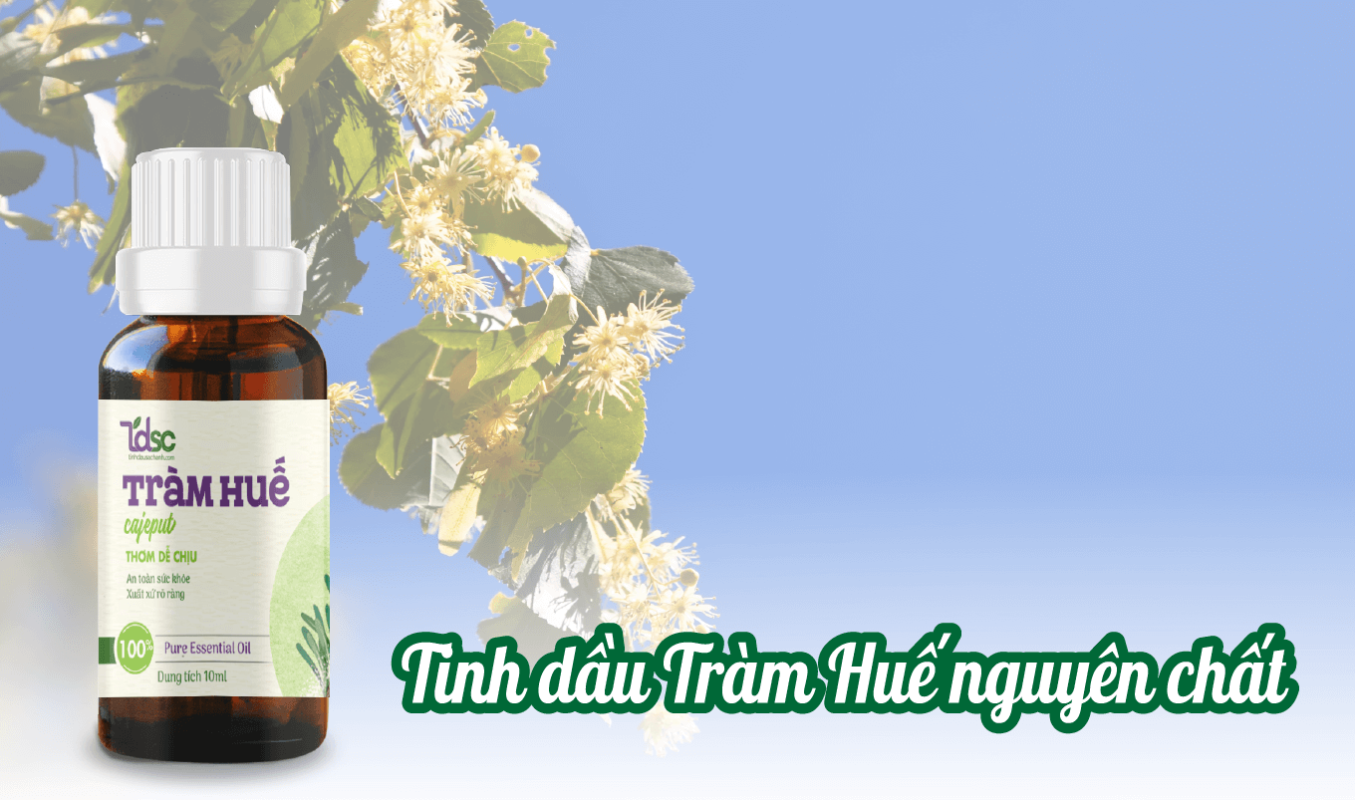 Tinh Dầu Tràm Huế Nguyên Chất