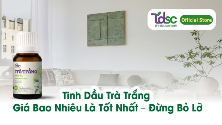 Tinh Dầu Trà Trắng Giá Bao Nhiêu Là Tốt Nhất – Đừng Bỏ Lỡ