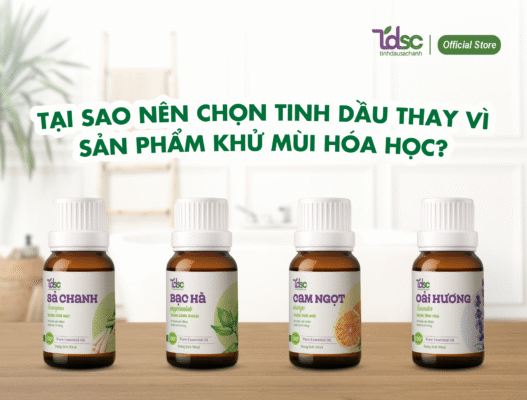 Tại Sao Nên Chọn Tinh Dầu Thay Vì Sản Phẩm Khử Mùi Hóa Học?