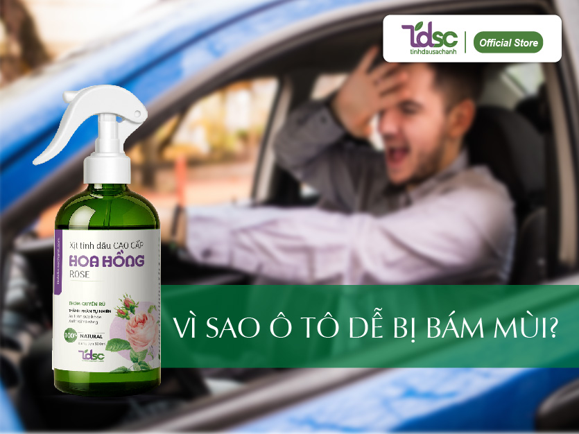 Vì sao xe ô tô lại dễ bị ám mùi?