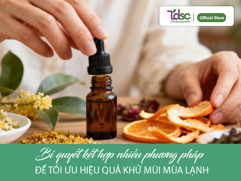 Bí quyết kết hợp nhiều phương pháp để tối ưu hiệu quả khử mùi mùa lạnh