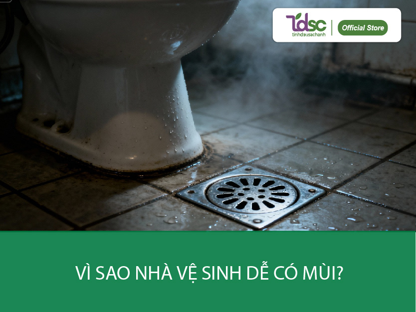 Vì sao nhà vệ sinh dễ có mùi?