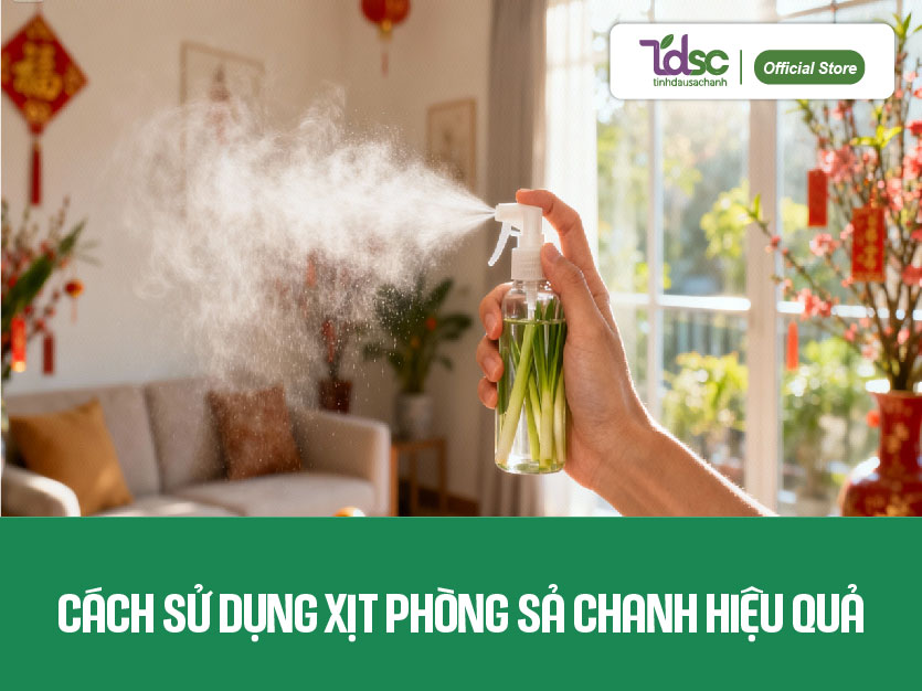 Cách sử dụng xịt phòng sả chanh hiệu quả khi dọn nhà đón Tết