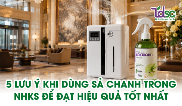 5 lưu ý khi dùng sả chanh trong nhà hàng khách sạn