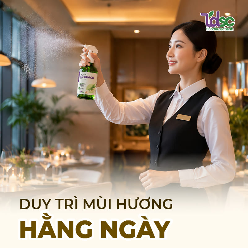 Cách duy trì mùi sả chanh hằng ngày trong khách sạn
