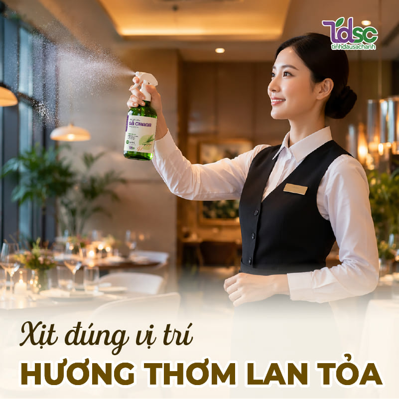 Vị trí xịt phòng sả chanh hiệu quả